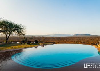 A Luxury Safari Adventure: What to do at The Hildana Lodge