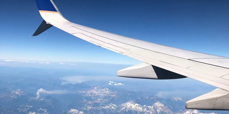 Vegan tips for taking food on a plane