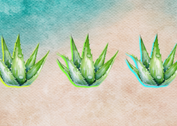 4 Aloe Vera Recipes to Boost Hydration and Recovery