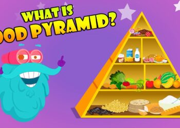 FOOD PYRAMID | How Different Foods Affect Your Body | The Dr Binocs Show | Peekaboo Kidz
