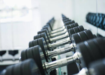 The Anatomy Of A Modern Gym