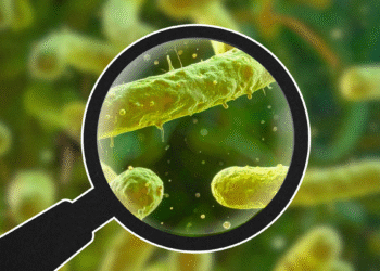 Do Microbiome Tests Work?