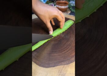 ALOE VERA Juice Recipe 🥤🥤 . . #shorts #healthyfood #healthyjuice #healthydrink #healthydrinks #drink