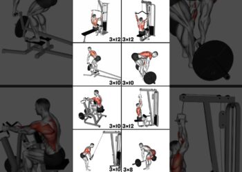 8 Powerful Back Workouts for Strength and Size #workout #backworkout