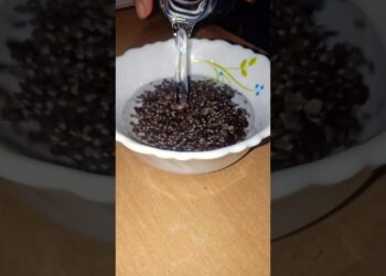 chia seeds drink,helps in female fertility, constipation,periods #healthy #drink #chiaseed #home
