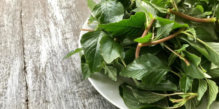 11 Lesser Known Indian Leafy Vegetables