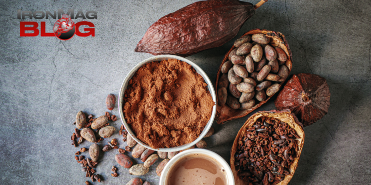 Can Cocoa Flavanols Boost Stem Cell Production? – IronMag Bodybuilding & Fitness Blog