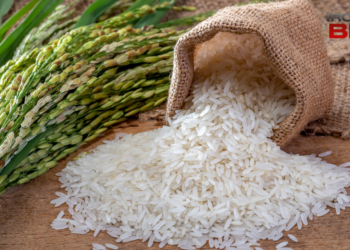 6 Types of Rice That Can Actually Improve Your Health – IronMag Bodybuilding & Fitness Blog