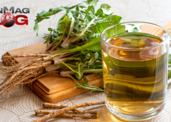 What Are the Health Benefits of Dandelion Tea? – IronMag Bodybuilding & Fitness Blog