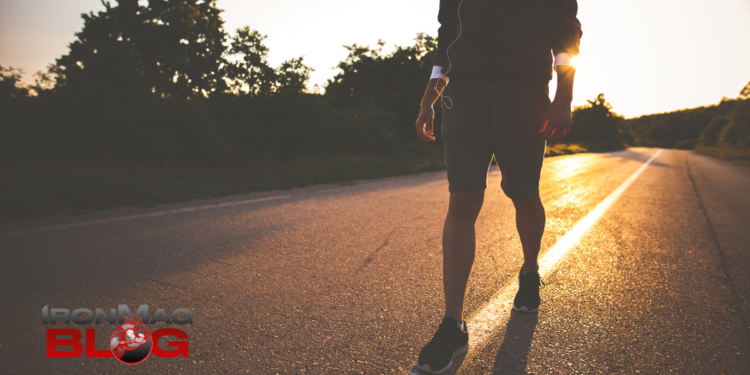 I Tried the 6-6-6 Walking Challenge for an Entire Month—Here’s What Happened – IronMag Bodybuilding & Fitness Blog