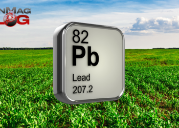 How Much Lead Is in Your Diet? – IronMag Bodybuilding & Fitness Blog